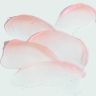 ORMEDIC Sheer Pink Lip Enhancement Complex - Гель для губ розовый, 7г [M].